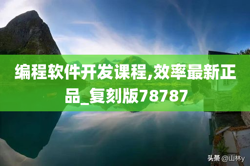 编程软件开发课程,效率最新正品_复刻版78787