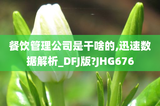 餐饮管理公司是干啥的,迅速数据解析_DFJ版?JHG676