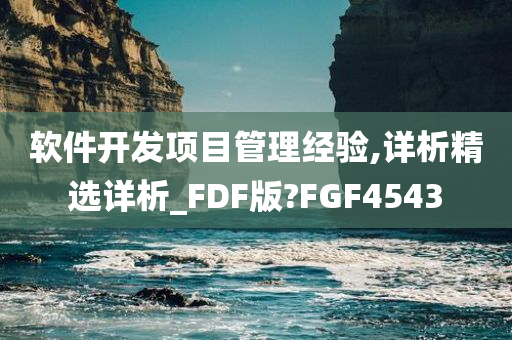 软件开发项目管理经验,详析精选详析_FDF版?FGF4543