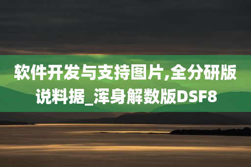 软件开发与支持图片,全分研版说料据_浑身解数版DSF8