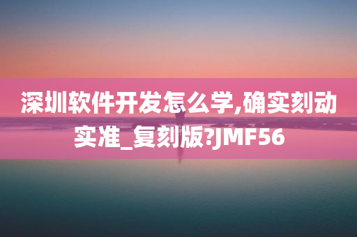 深圳软件开发怎么学,确实刻动实准_复刻版?JMF56