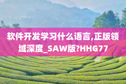 软件开发学习什么语言,正版领域深度_SAW版?HHG77