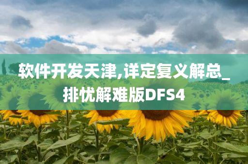 软件开发天津,详定复义解总_排忧解难版DFS4