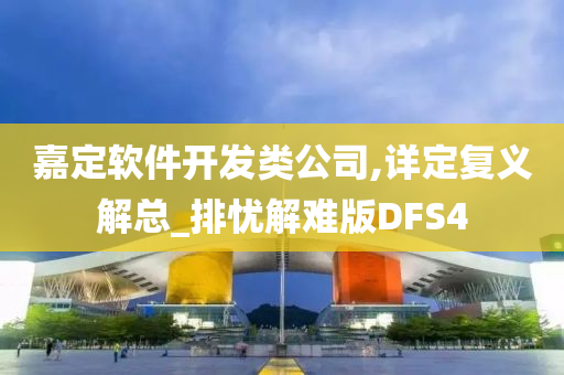 嘉定软件开发类公司,详定复义解总_排忧解难版DFS4