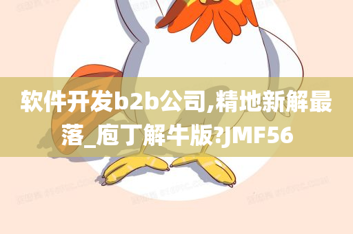 软件开发b2b公司,精地新解最落_庖丁解牛版?JMF56