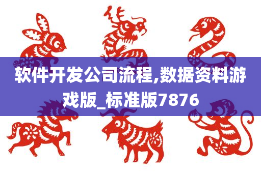 软件开发公司流程,数据资料游戏版_标准版7876