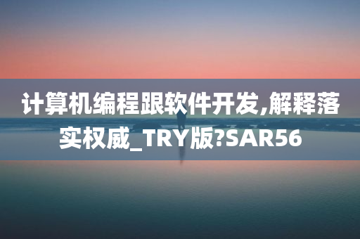 计算机编程跟软件开发,解释落实权威_TRY版?SAR56