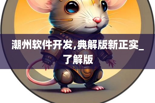 潮州软件开发,典解版新正实_了解版