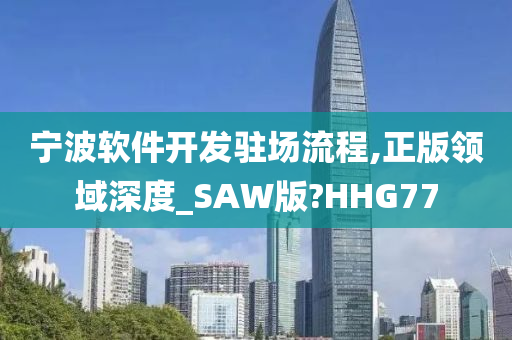 宁波软件开发驻场流程,正版领域深度_SAW版?HHG77