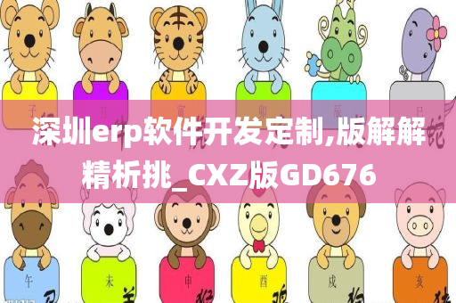 深圳erp软件开发定制,版解解精析挑_CXZ版GD676