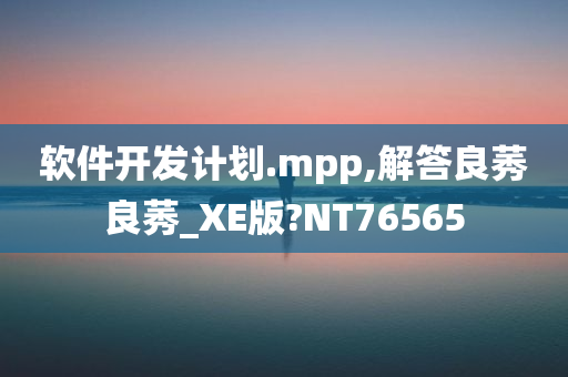 软件开发计划.mpp,解答良莠良莠_XE版?NT76565