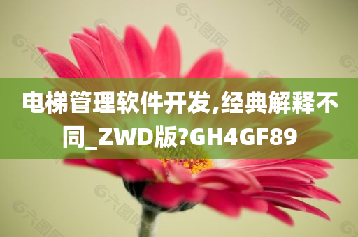 电梯管理软件开发,经典解释不同_ZWD版?GH4GF89