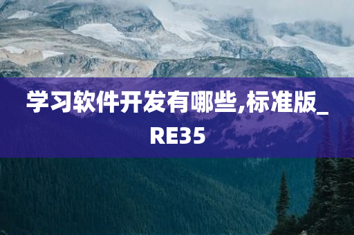 学习软件开发有哪些,标准版_RE35