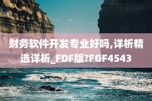 财务软件开发专业好吗,详析精选详析_FDF版?FGF4543