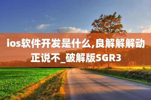 ios软件开发是什么,良解解解动正说不_破解版SGR3