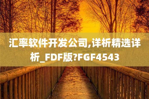 汇率软件开发公司,详析精选详析_FDF版?FGF4543