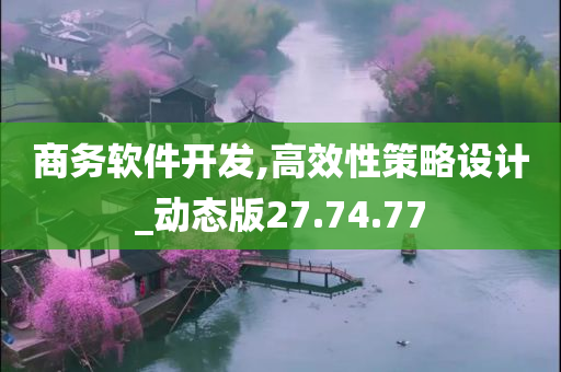 商务软件开发,高效性策略设计_动态版27.74.77