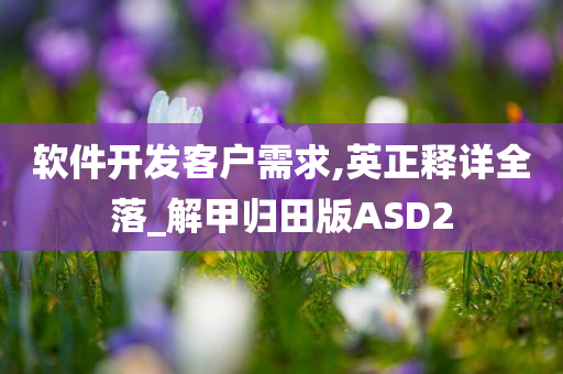 软件开发客户需求,英正释详全落_解甲归田版ASD2