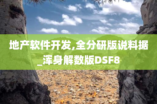 地产软件开发,全分研版说料据_浑身解数版DSF8