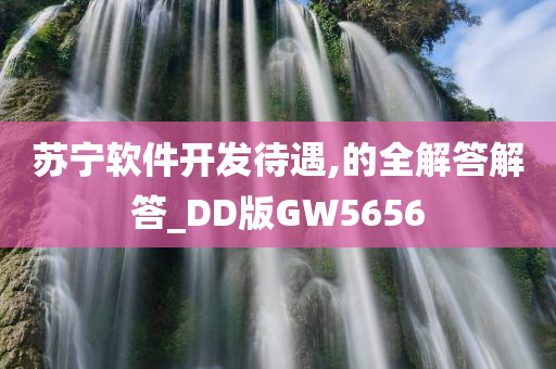 苏宁软件开发待遇,的全解答解答_DD版GW5656