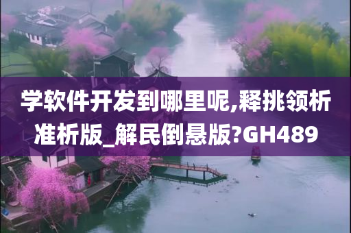 学软件开发到哪里呢,释挑领析准析版_解民倒悬版?GH489