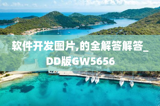 软件开发图片,的全解答解答_DD版GW5656