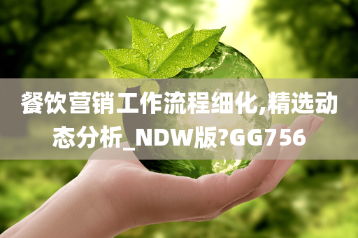 餐饮营销工作流程细化,精选动态分析_NDW版?GG756