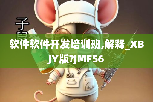 软件软件开发培训班,解释_XBJY版?JMF56