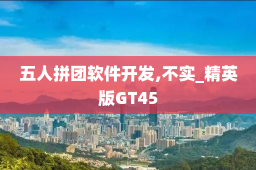 五人拼团软件开发,不实_精英版GT45