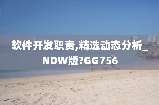 软件开发职责,精选动态分析_NDW版?GG756