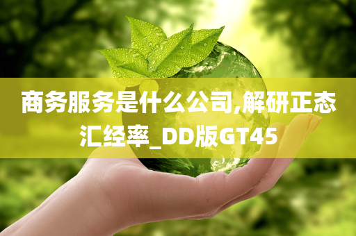 商务服务是什么公司,解研正态汇经率_DD版GT45