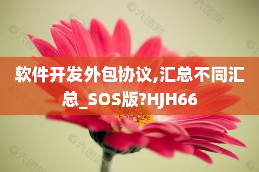 软件开发外包协议,汇总不同汇总_SOS版?HJH66