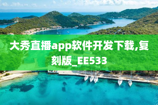 大秀直播app软件开发下载,复刻版_EE533