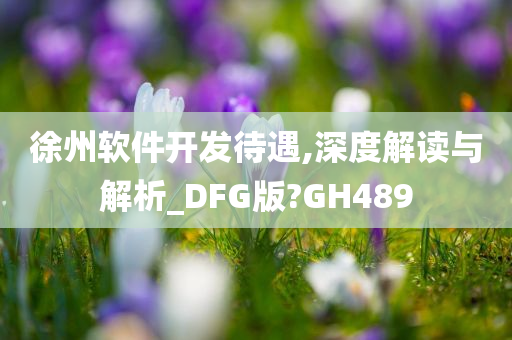 徐州软件开发待遇,深度解读与解析_DFG版?GH489