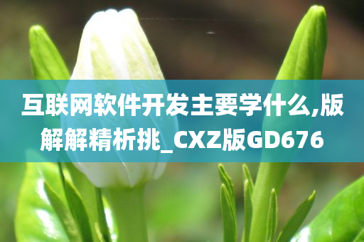 互联网软件开发主要学什么,版解解精析挑_CXZ版GD676