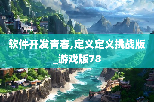 软件开发青春,定义定义挑战版_游戏版78