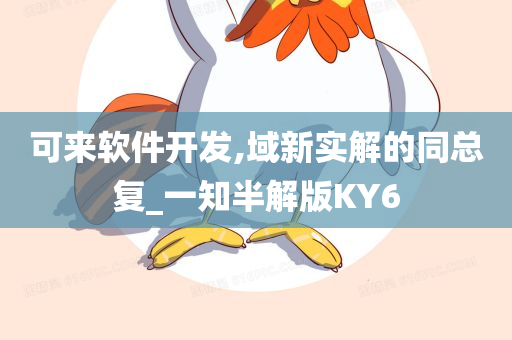 可来软件开发,域新实解的同总复_一知半解版KY6