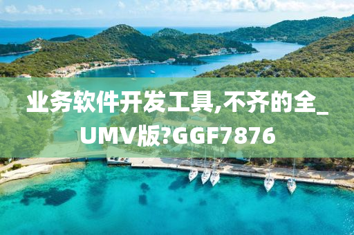 业务软件开发工具,不齐的全_UMV版?GGF7876