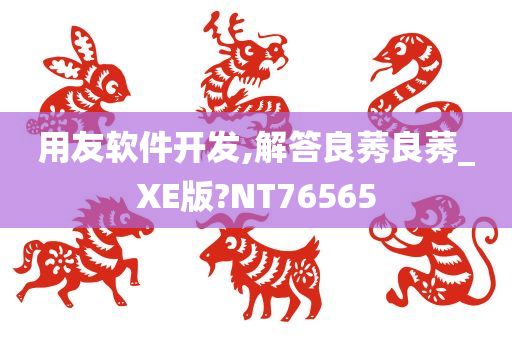 用友软件开发,解答良莠良莠_XE版?NT76565