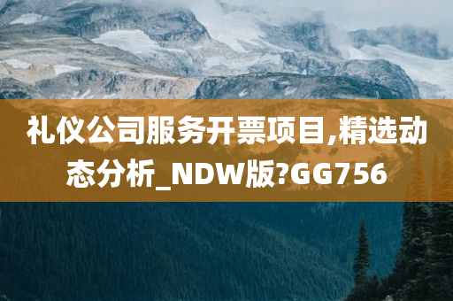 礼仪公司服务开票项目,精选动态分析_NDW版?GG756