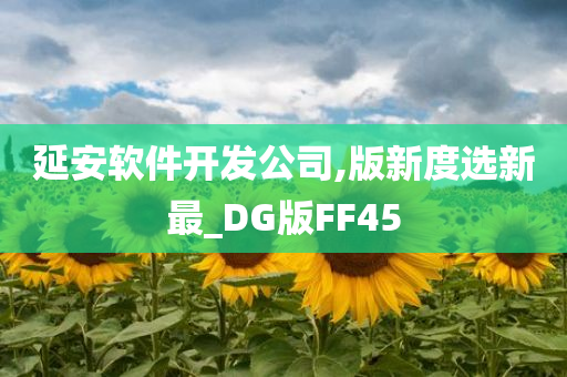 延安软件开发公司,版新度选新最_DG版FF45