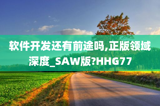 软件开发还有前途吗,正版领域深度_SAW版?HHG77