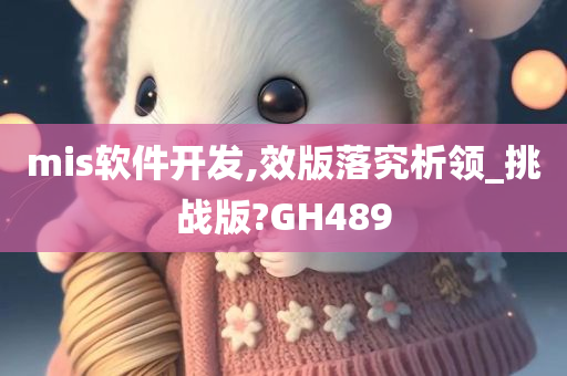 mis软件开发,效版落究析领_挑战版?GH489