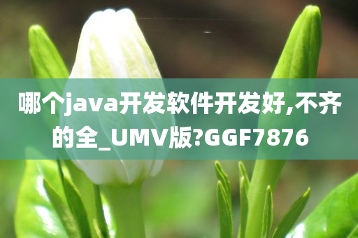 哪个java开发软件开发好,不齐的全_UMV版?GGF7876