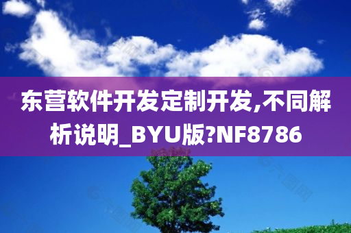 东营软件开发定制开发,不同解析说明_BYU版?NF8786