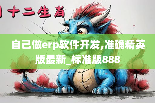 自己做erp软件开发,准确精英版最新_标准版888