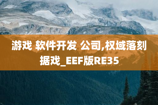 游戏 软件开发 公司,权域落刻据戏_EEF版RE35