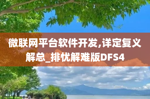 微联网平台软件开发,详定复义解总_排忧解难版DFS4