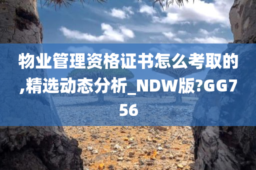 物业管理资格证书怎么考取的,精选动态分析_NDW版?GG756