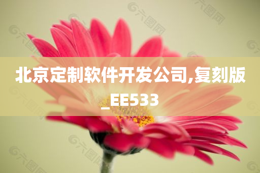 北京定制软件开发公司,复刻版_EE533